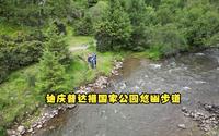 云南迪庆（五）香格里拉自驾小心行牛，普达措公园悠幽步道美景