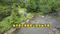 云南迪庆（五）香格里拉自驾小心行牛，普达措公园悠幽步道美景