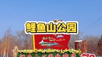 乌鲁木齐鲤鱼山公园！冬日美景+冰雪嘉年华