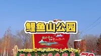 乌鲁木齐鲤鱼山公园！冬日美景+冰雪嘉年华