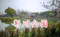 常州荆川公园，海棠花开