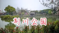 常州荆川公园，海棠花开