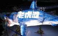 中国最大极地海洋世界！大连老虎滩海洋公园！