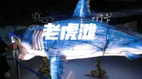 中国最大极地海洋世界！大连老虎滩海洋公园！