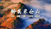 超清航拍 国家5A景区巴中光雾山 看红叶最佳地 五彩斑斓层林尽染万叶飘丹