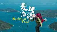 麦理浩径究竟值得走吗？一场用泪水跨越山与海的奇妙之旅。