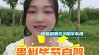 织金洞 3 号停车场露营攻略