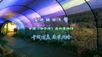 哈尔滨森林博物馆再次开放，推荐指数七颗星，参观攻略与信息速报