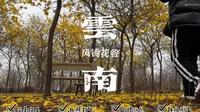 偶遇云南小众景点，开远羊街乡的知花小镇，你喜欢“枝头 见花不见叶，一路金黄一路香”的风铃花谷吗？