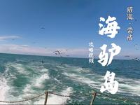 海驴岛游玩攻略！正午人多还晒，选上午9点或傍晚最舒服……