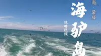 海驴岛游玩攻略！正午人多还晒，选上午9点或傍晚最舒服……