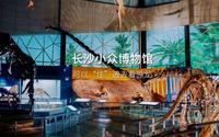 湖南省地质博物馆免费🆓半日游攻略
