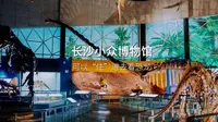 湖南省地质博物馆免费🆓半日游攻略