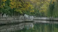 济南周末的一天——环城公园