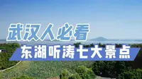 武汉人必看！东湖听涛七大景点
