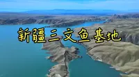 航拍新疆伊犁尼勒克县吉林台水库
