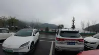 桐柏宫