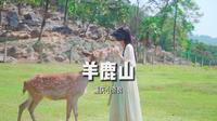重庆小奈良，巴南羊鹿山喂小鹿