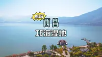 每一位来西昌的游客必到的景点，西昌邛海湿地公园，航拍美丽西昌