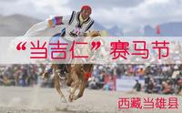 草原上的盛会 西藏当雄赛马节