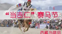 草原上的盛会 西藏当雄赛马节