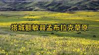 塔城额敏县孟布拉克草原