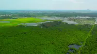 海口潭丰洋省级湿地公园