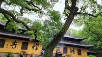 全网最全普陀山法雨寺攻略（佛祖菩萨住哪殿，分管什么不能错；寺内著名景点；相关人文历史一网打尽）