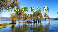 大理海舌公园