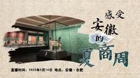 【安徽博物院】感受安徽的夏商周