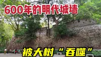 广州600年明代古城墙，仅存1000米，古城墙到底该拆除还是保护？