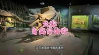 参观天津自然博物馆。