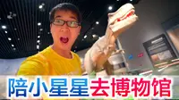 爸妈带宝宝参观宜昌博物馆，沉浸式观看，从物种起源到近代史