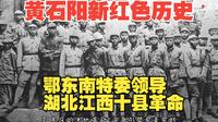 鄂东南特委（黄石阳新龙港）领导湖北江西周边十县革命斗争岁月