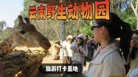 活在当下 | 云南野生动物园一日游。中途乘坐观光车，游览4个小时结束。美哉！