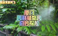 厦门园林植物园，身临其境体验热带雨林世界