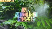 厦门园林植物园，身临其境体验热带雨林世界