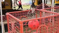 20250405七彩澳游世界游玩～