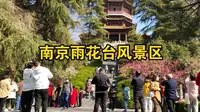 乘坐南京地铁1号线到雨花台风景区，景区内梅花盛开，游客众多