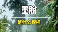 世界只有一个墨脱，而墨脱却拥有整个世界，这片世外桃源，到底是什么模样？今天带你们走进神秘的墨脱#墨脱 #G219国道