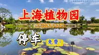 上海植物园免费停车攻略