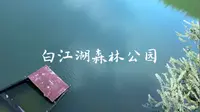 白江湖森林公园｜这个广州10块钱的良心景区