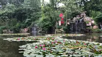 临沂竹泉村