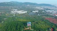 山东枣庄龟山公园美丽景色