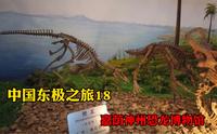 被誉为神州第一龙的嘉荫，去恐龙博物馆，观白垩纪恐龙化石！
