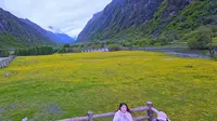 四姑娘6.12人参果坪花海