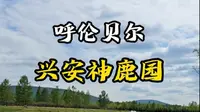 呼伦贝尔兴安神鹿园介绍。