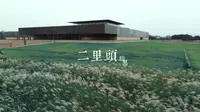 [航拍] 暗黑系版的二里头夏都遗址博物馆