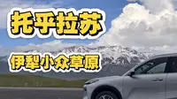 伊犁小众草原，托乎拉苏，人少景美！