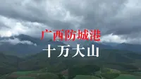 【4K航拍】广西防城港“十万大山国家森林公园”，爬山爬到怀疑人生